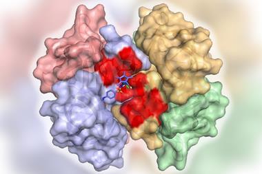 An artificial imine reductase whose activity has been optimised by means of directed evolution