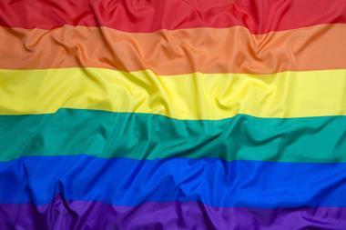 An image showing the LGBT flag