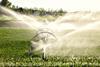 An image showing wheat irrigation