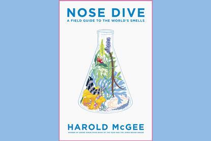 An image showing the book cover of Nose dive