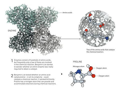 An image showing explanations for proline