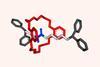 Rotaxane