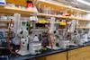 Rotary evaporators