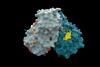 Molecular view of a key component of the SarsCov2 Virus