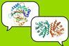 Two speech bubbles each containing enzyme structures