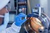 A gloved hand holds a pill up to the camera in a pharmaceutical lab