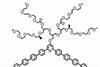 noncovalent-macrocycles-structure_300