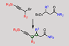 A scheme showing a doubly enantioconvergent substitution reaction