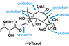 An image showing the structure of taxol