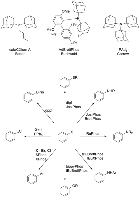 Umicore