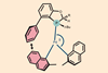 A chemical structure of three organic ring structures joined by a Pd